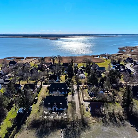 Apartman Bernstein Born